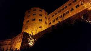 Heidelberg Schloss demographischer Wandel 